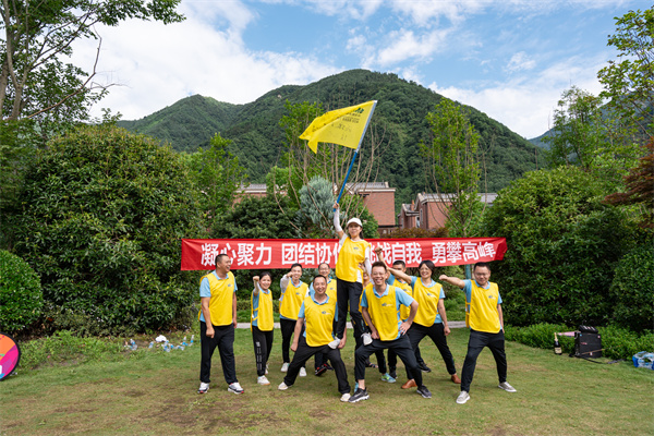 1703136533585649.jpg 8.jpg